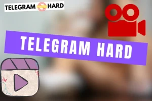 Lire la suite à propos de l’article Canal Telegram Hard Bagarre 