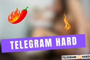 Lire la suite à propos de l’article Telegram Hard Link 